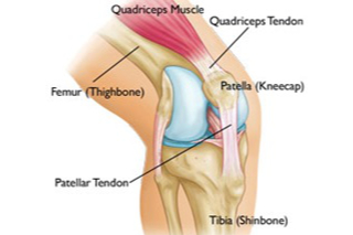 Knieschijf (Patella) klachten